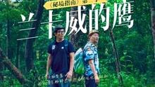家装用“壁纸”好还是用“乳胶漆”好呢？